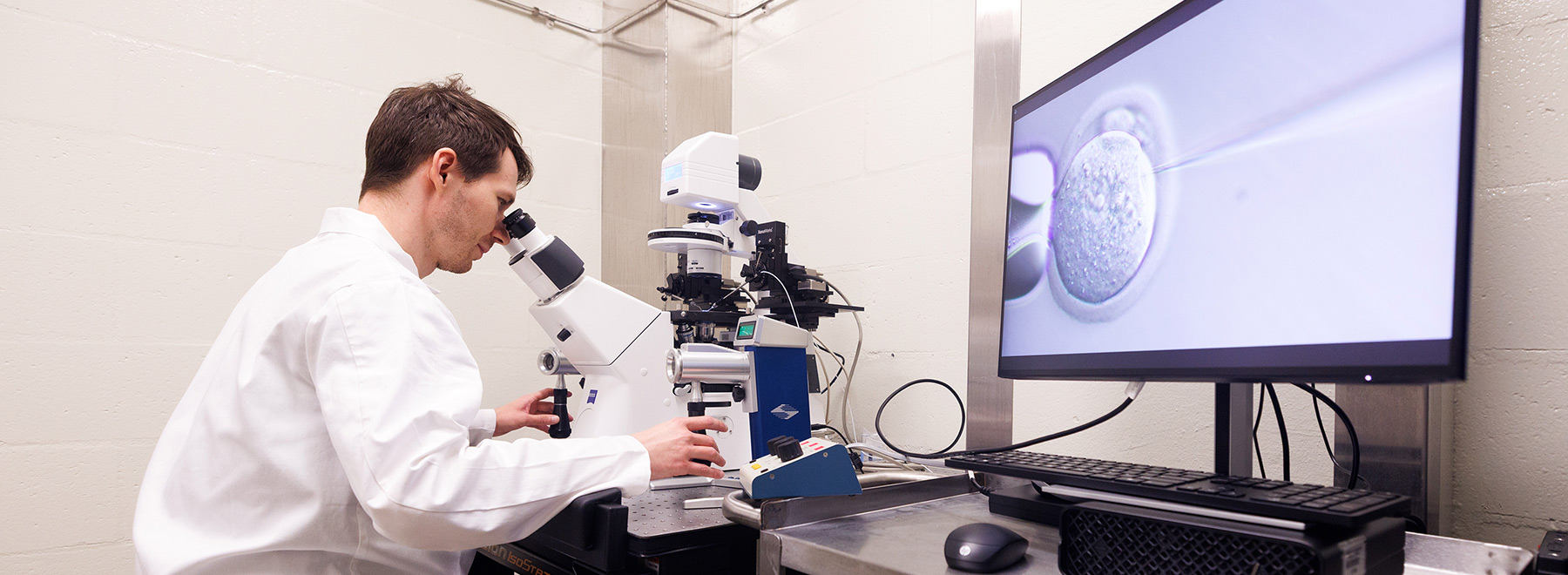 researcher looking into a microscope as a cell is shown on a nearby monitor